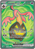 102-gourgeistex