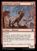 133-belligerentyearling
