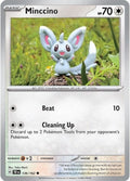 136-minccino