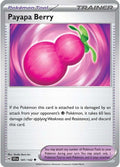141-payapaberry