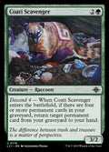 179-coatiscavenger