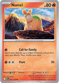21-numel