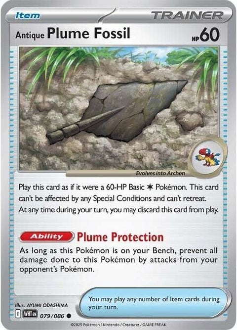 79-antiqueplumefossil