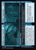 79-underwatertunnelslimyaquarium-a