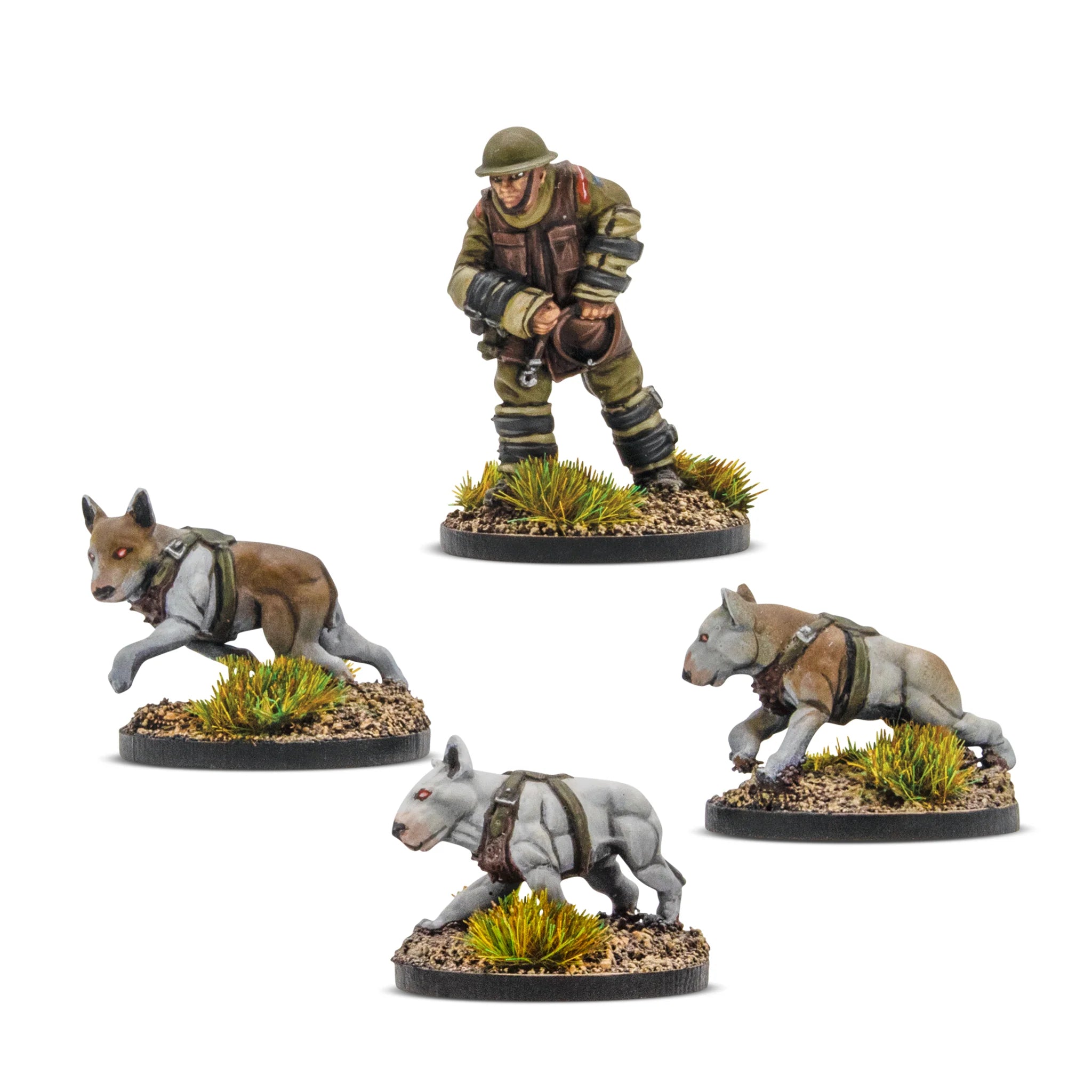 British Commonwealth: Cerberus Squad 1