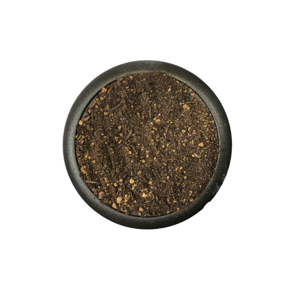 Groundcover: Common Earth Dark (140ml)