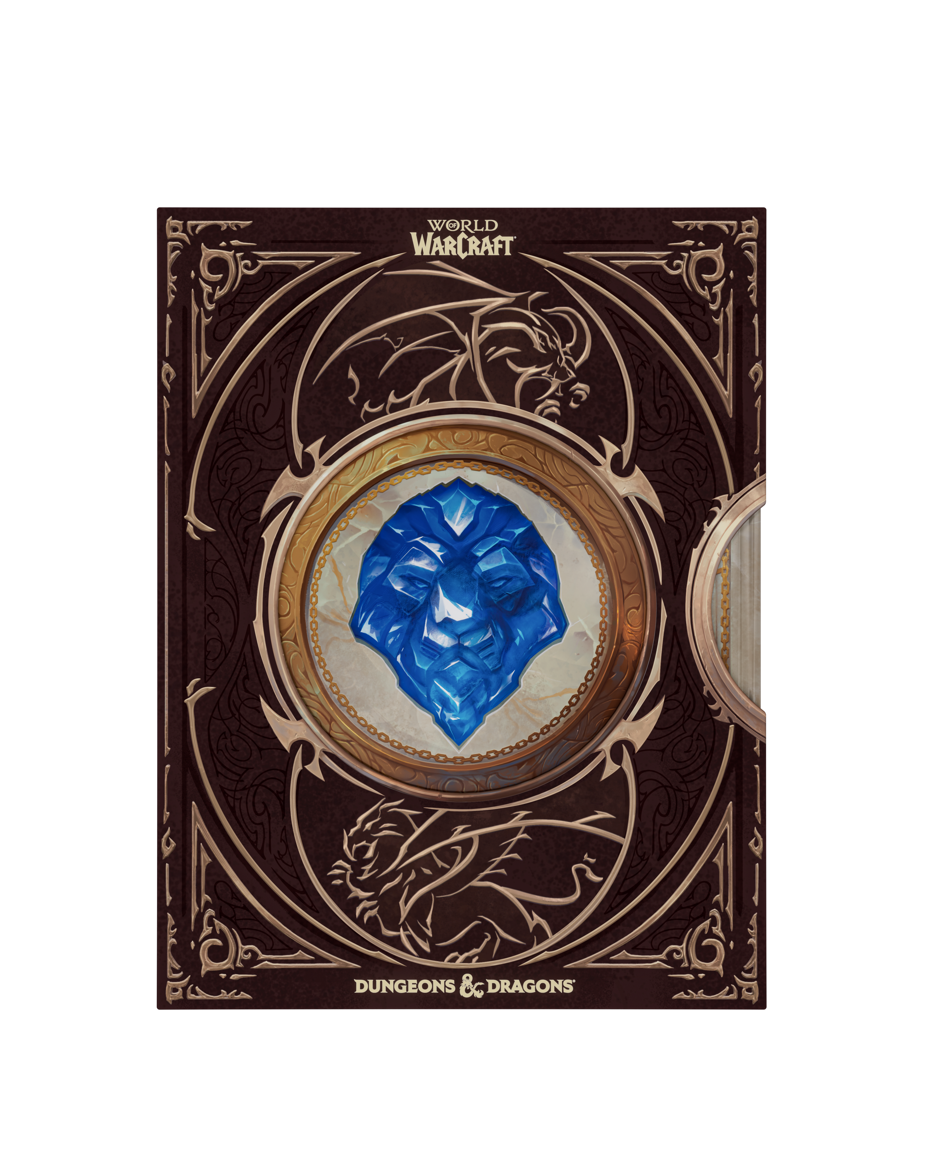 D&D: World of Warcraft